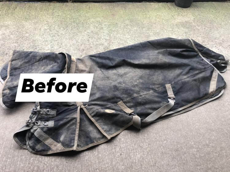 Dirty Rug